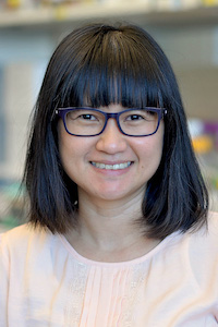 Joy Winuthayanon, PhD