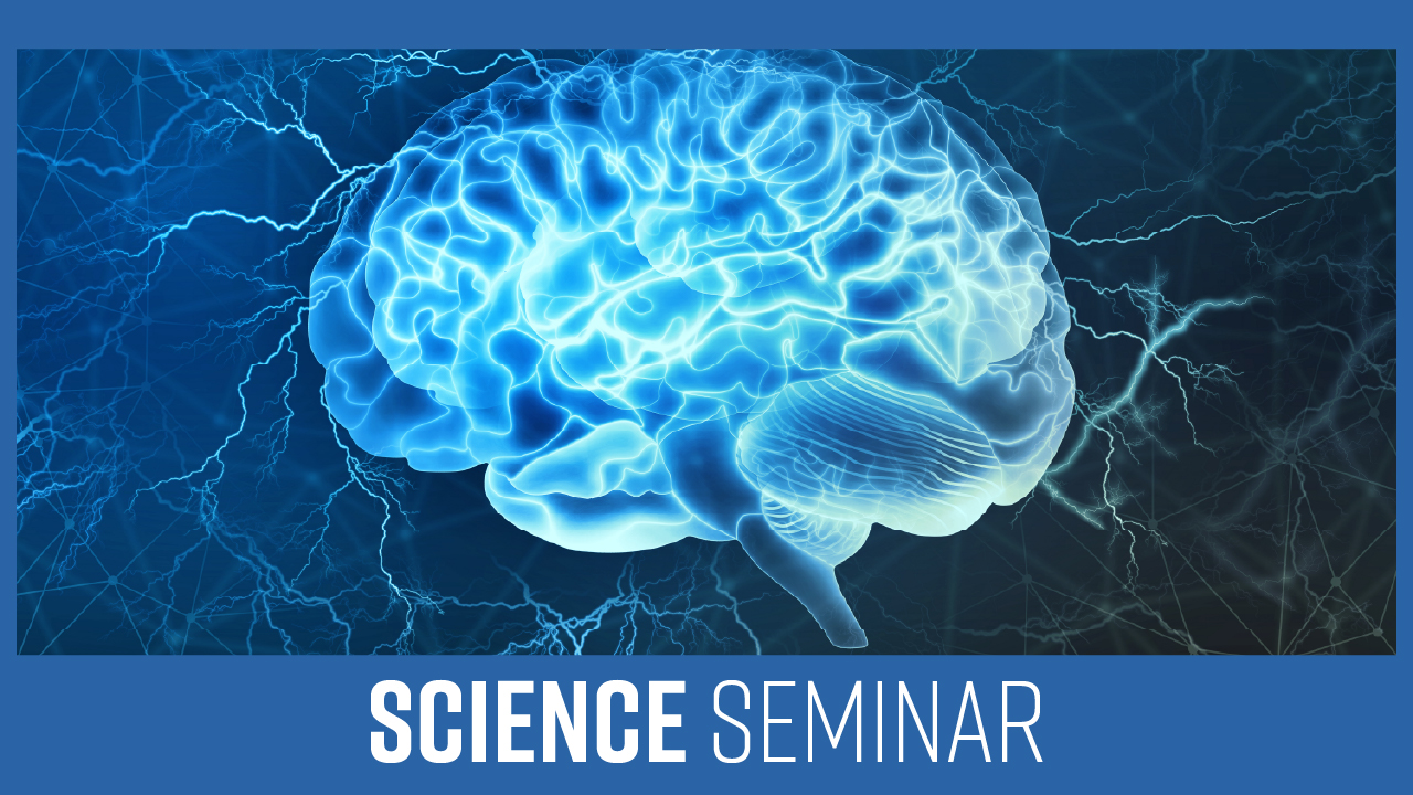 Komal Ashraf thumbnail; an artist's interpretation of a brain and it's network.