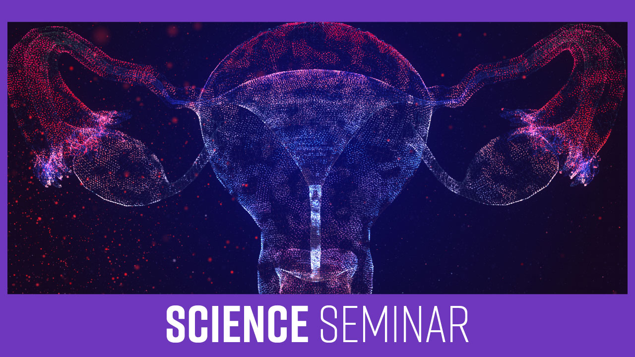 Female Reproductive Organs