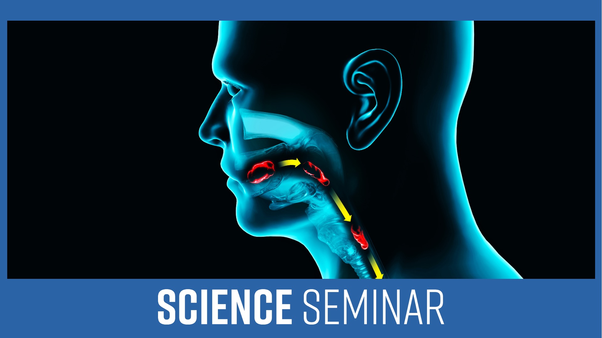 Teresa Level Neuroscience Seminar