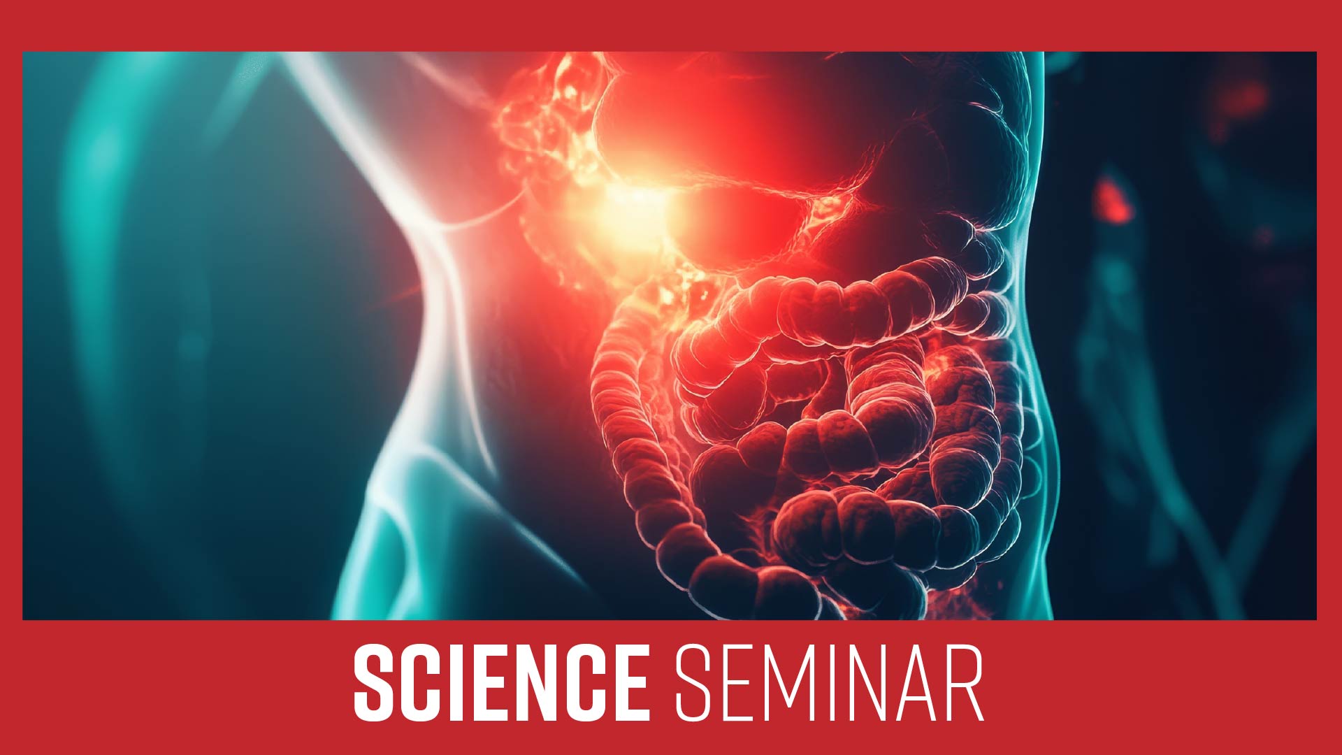 graphic art depiction of intestinal tract 