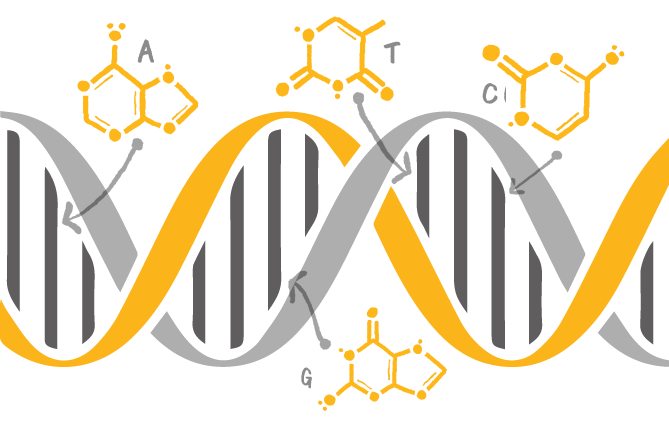 DNA helix illustration